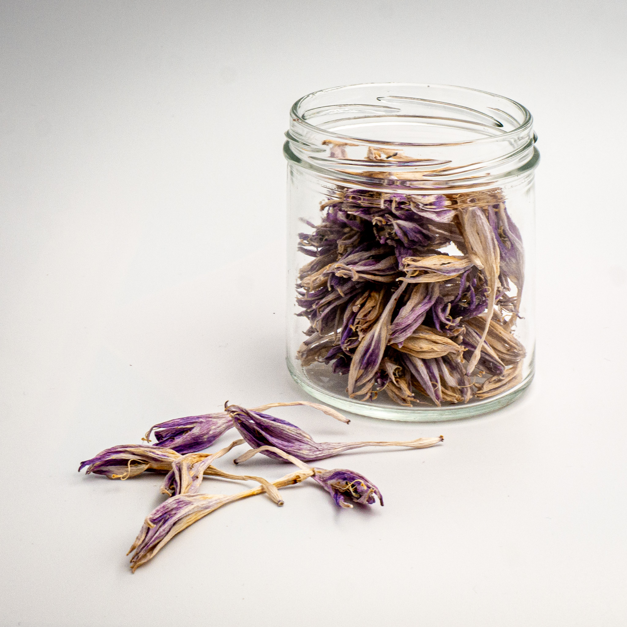 Getrocknete Funkien-Blüten